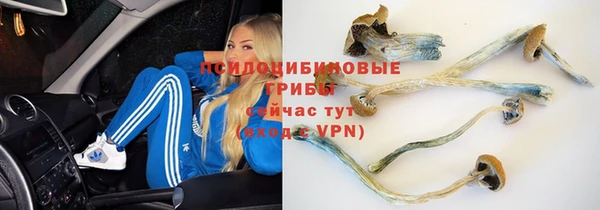 тгк Михайловка