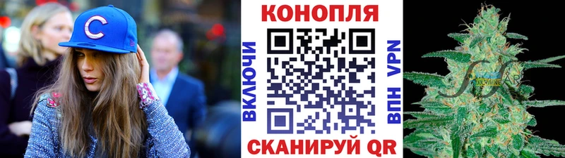 Бошки марихуана Amnesia Нижняя Тура